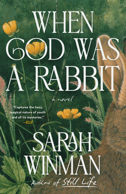 When God Was a Rabbit - Ingram