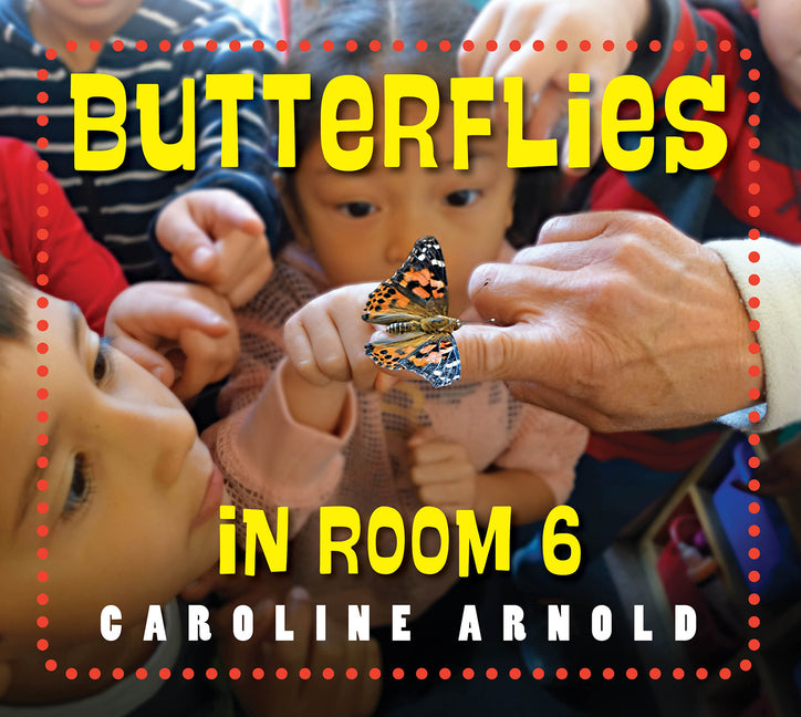 Butterflies in Room 6: See How They Grow - Ingram