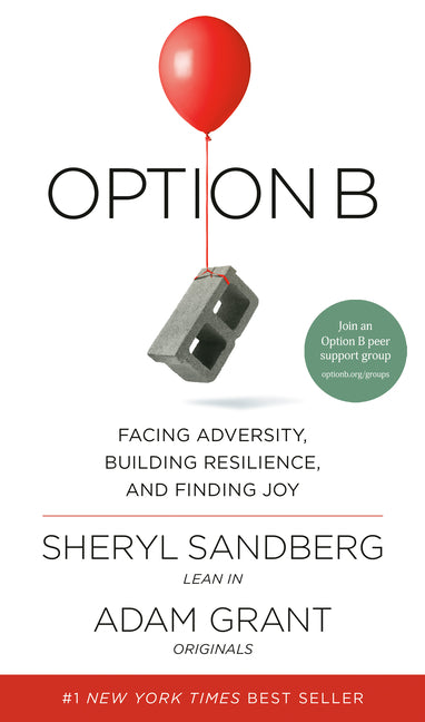 Option B: Facing Adversity, Building Resilience, and Finding Joy - Ingram