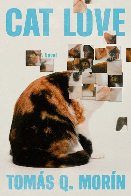 Cat Love - Ingram