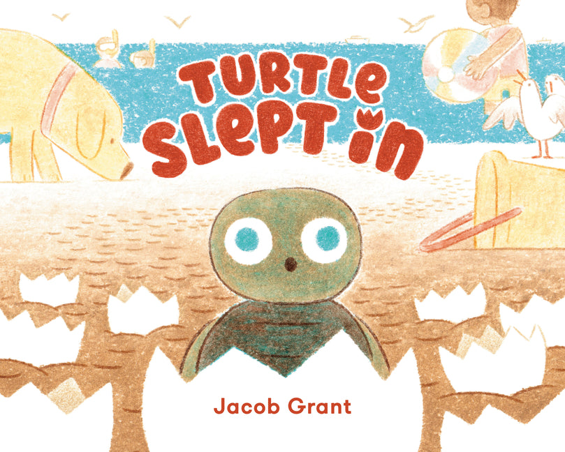 Turtle Slept in - Ingram