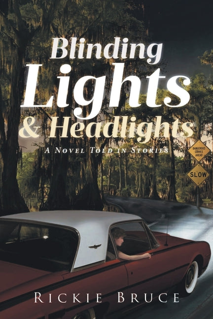Blinding Lights and Headlights: A Novel Told in Stories - Ingram