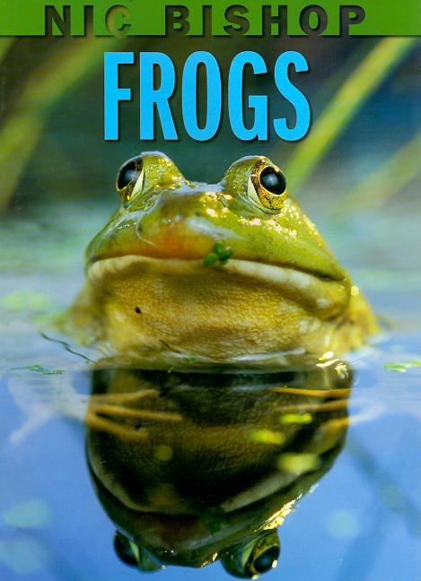 Nic Bishop: Frogs - Ingram