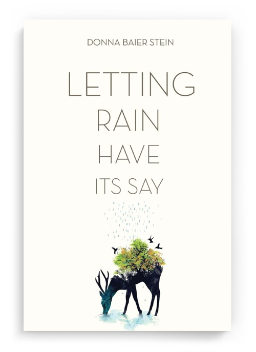 Letting Rain Have It's Say