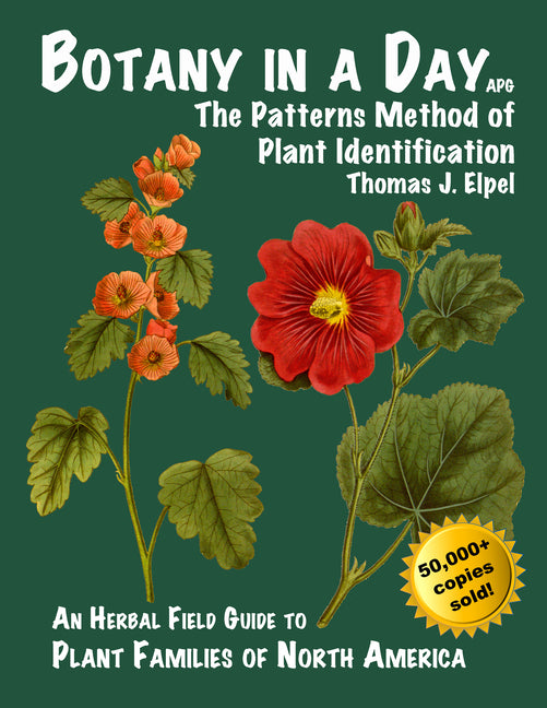 Botany in a Day: The Patterns Method of Plant Identification - Ingram