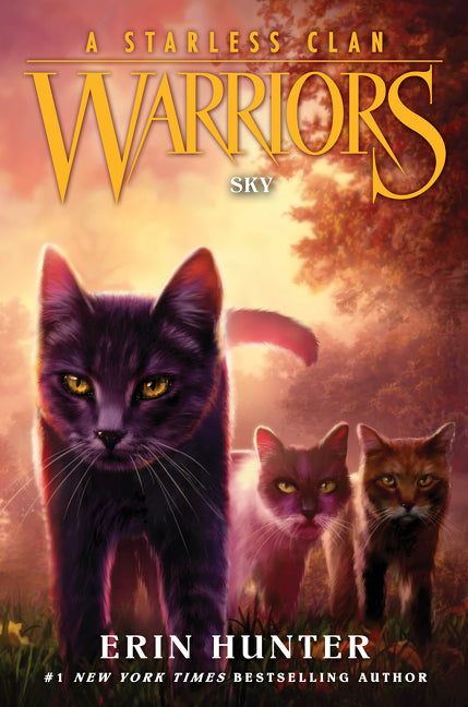 Warriors: A Starless Clan #2: Sky - Ingram