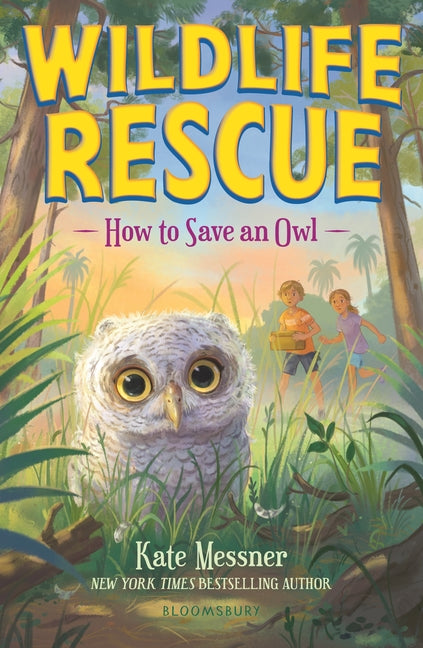 How to Save an Owl - Ingram