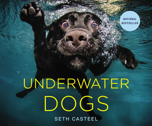 Underwater Dogs - Ingram