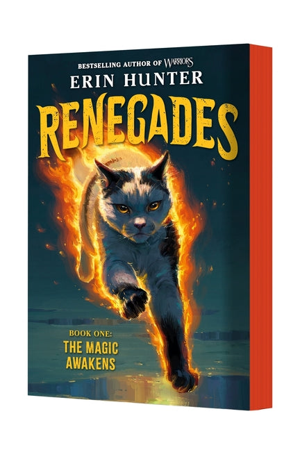 Renegades #1: The Magic Awakens - Ingram