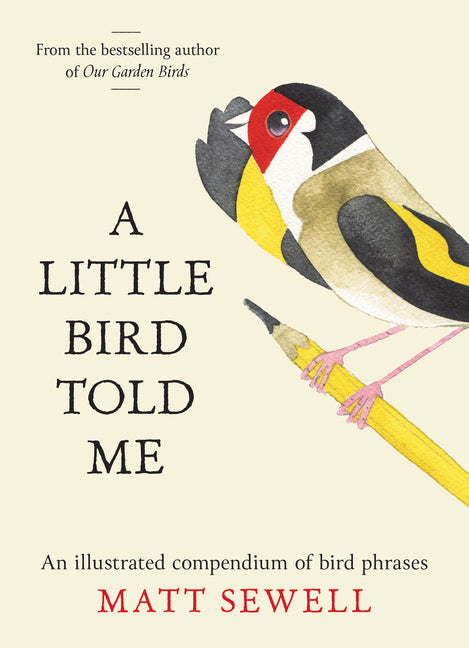 A Little Bird Told Me: An Illustrated Compendium of Bird Phrases