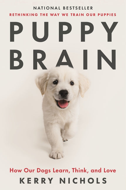 Puppy Brain: How Our Dogs Learn, Think, and Love - Ingram