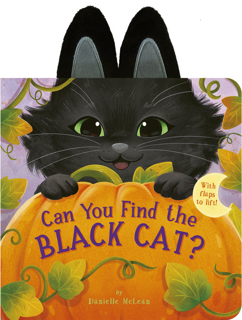 Can You Find the Black Cat?: With Flaps to Lift! - Ingram